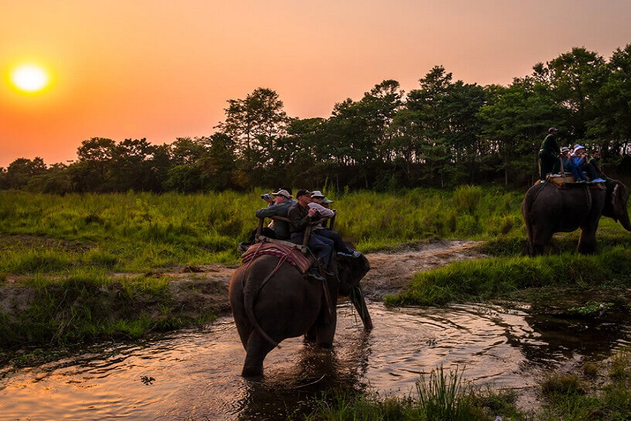 Elephant ride in Chitwan